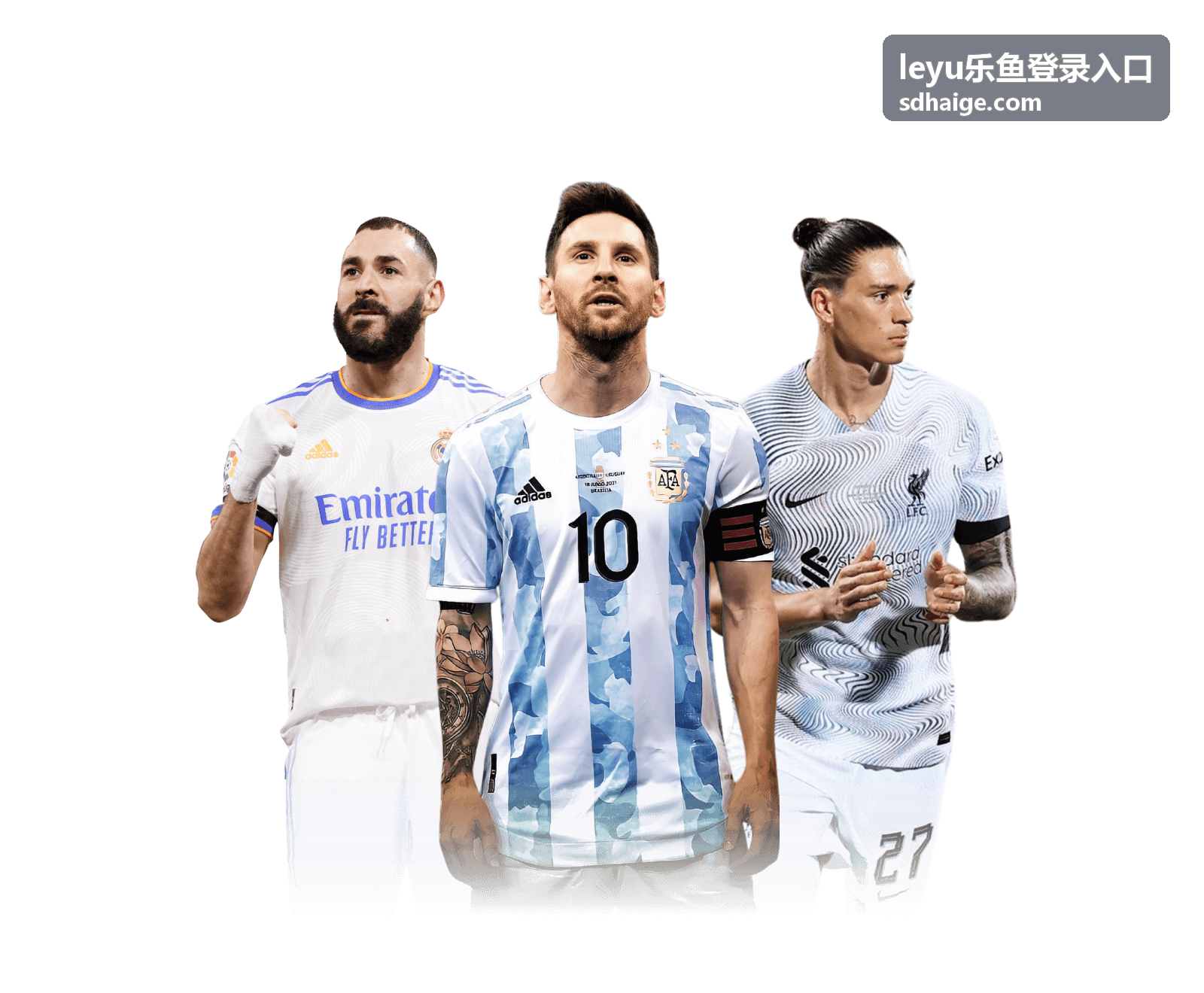 leyu乐鱼登录入口安全登录验证